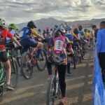 Home beaver start moose